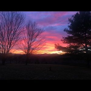 Meet your Posher, Ella